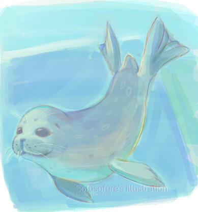pretty seal